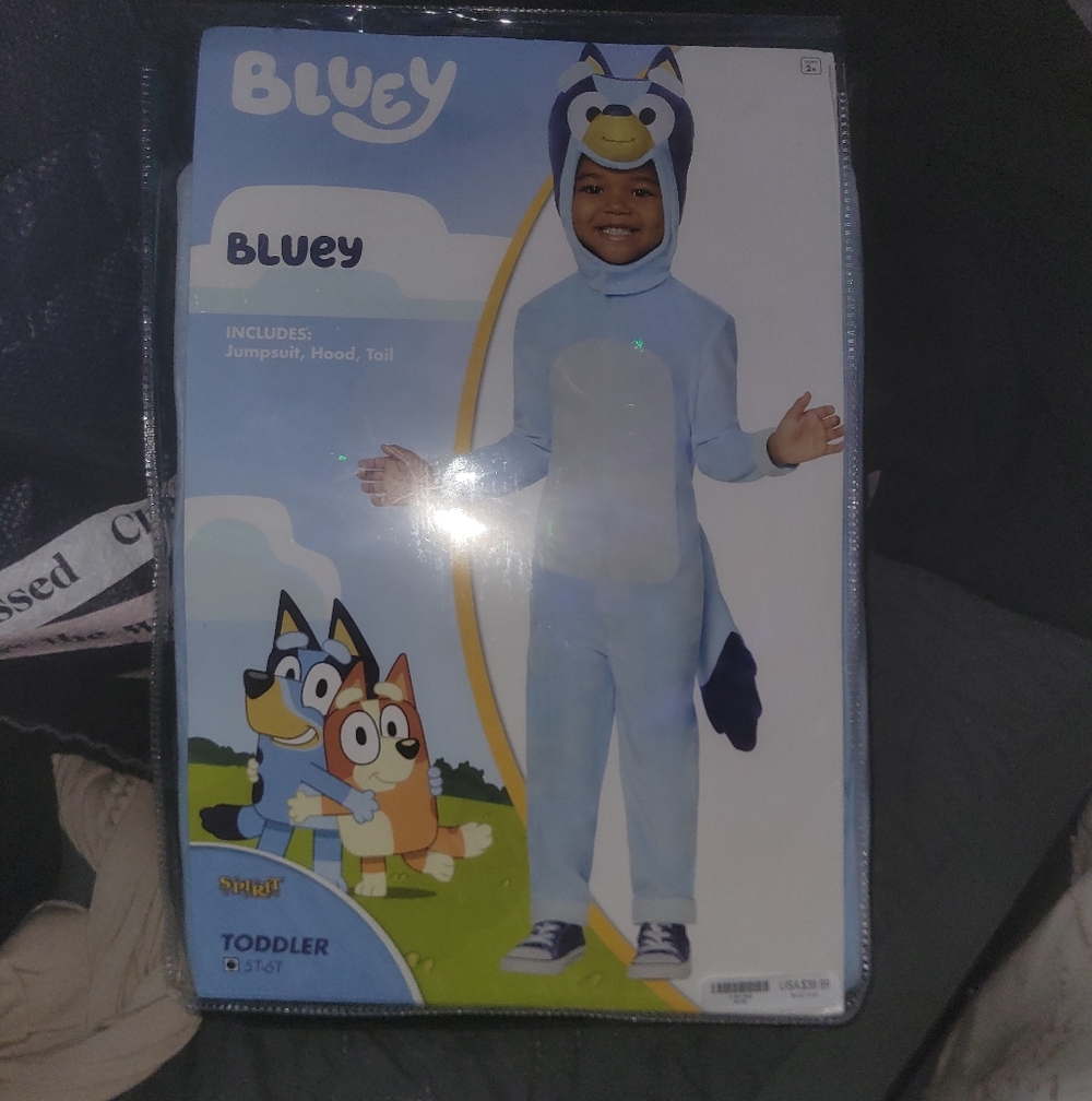 Bluey Toddler Costume